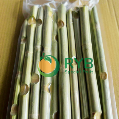 Sugar Cane